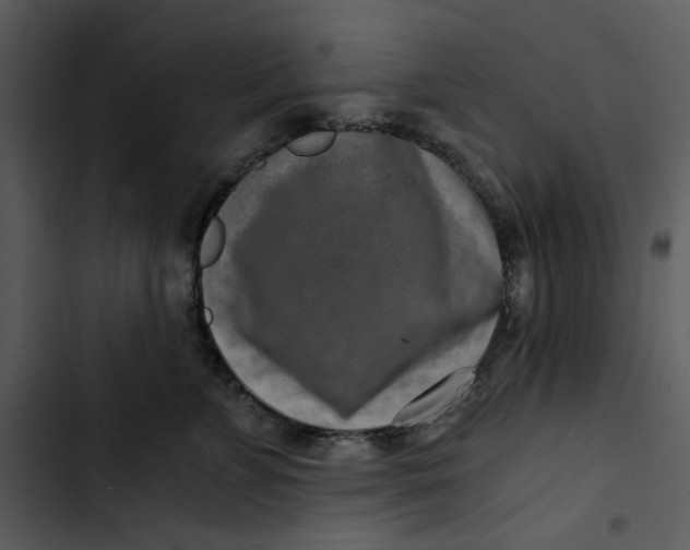 X0000102820715200809081131