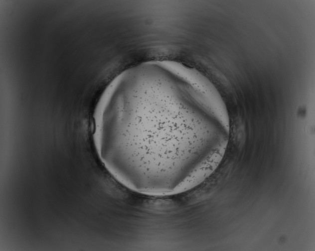 X0000102820716200809081131