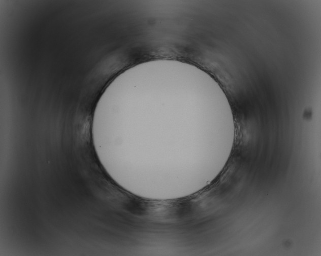 X0000102820717200809081131