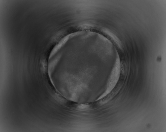 X0000102820718200809081131