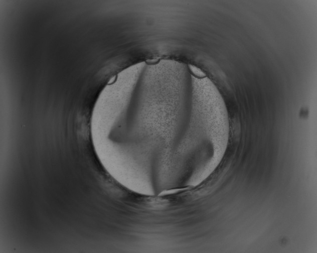 X0000102820719200809081131