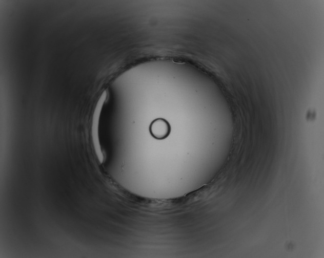 X0000102820720200809081131