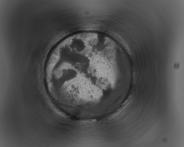 X0000102820721200809081130