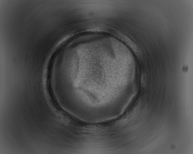 X0000102820724200809081130