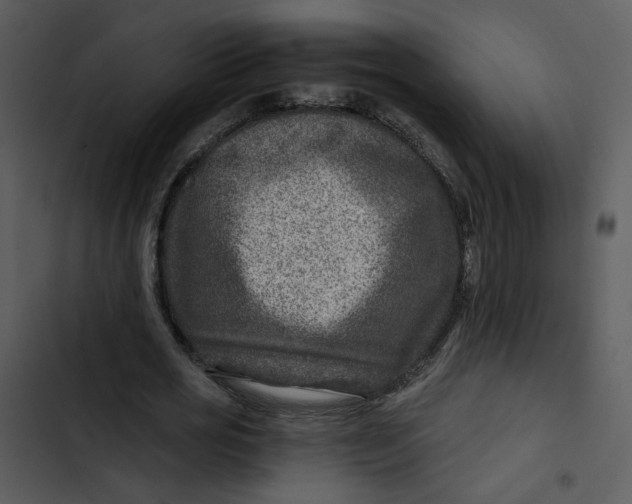 X0000102820725200809081130