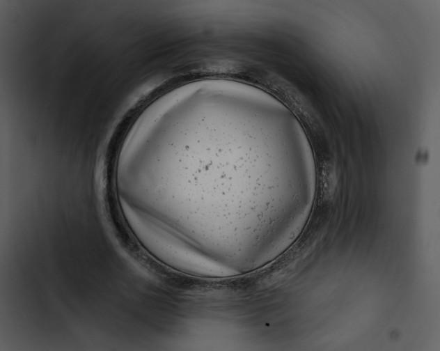 X0000102820726200809081130