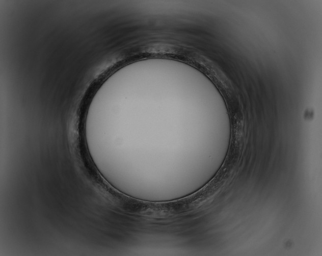 X0000102820727200809081130