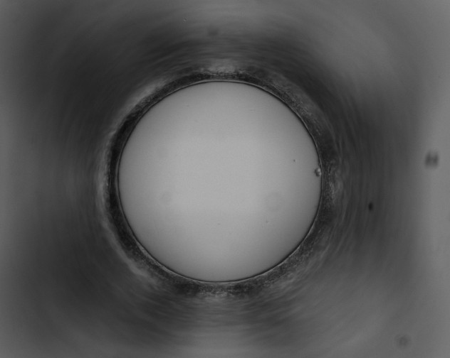 X0000102820728200809081130