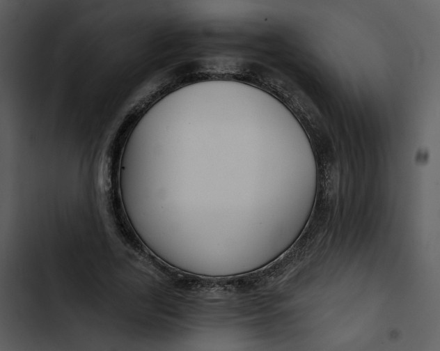 X0000102820731200809081130