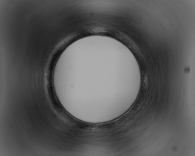 X0000102820732200809081130