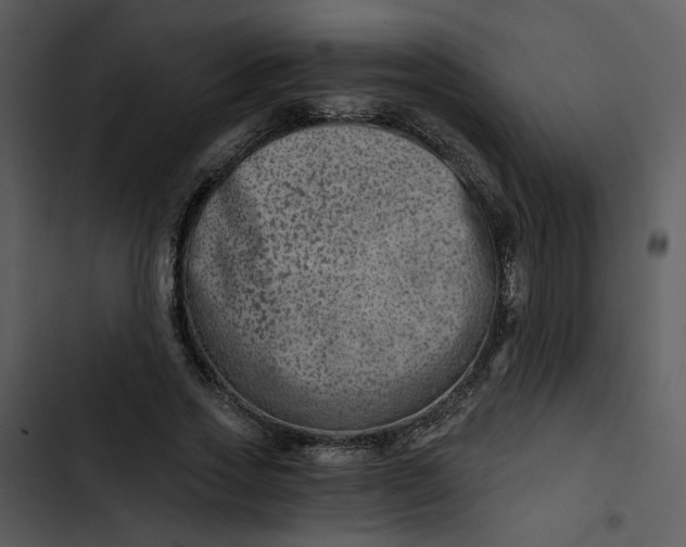 X0000102820733200809081130