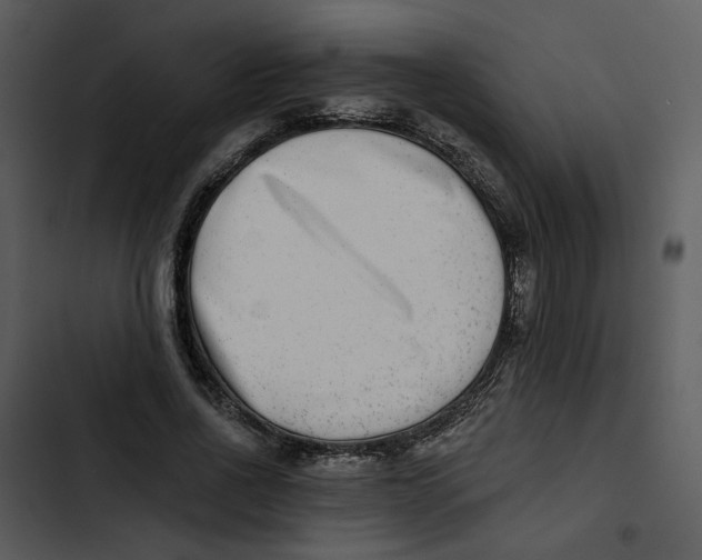 X0000102820734200809081130