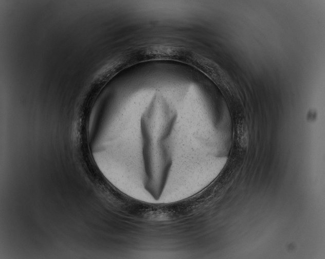 X0000102820735200809081130