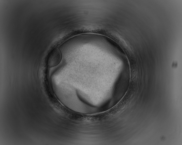 X0000102820736200809081130