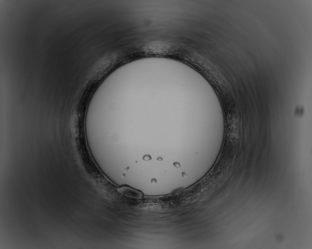 X0000102820738200809081130