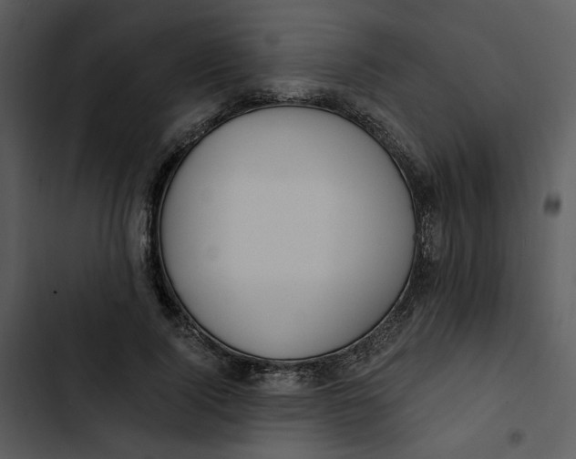 X0000102820740200809081130