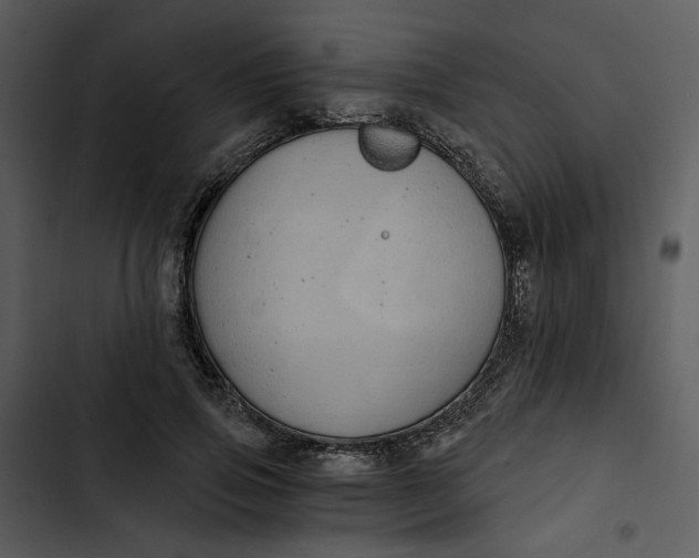 X0000102820741200809081130