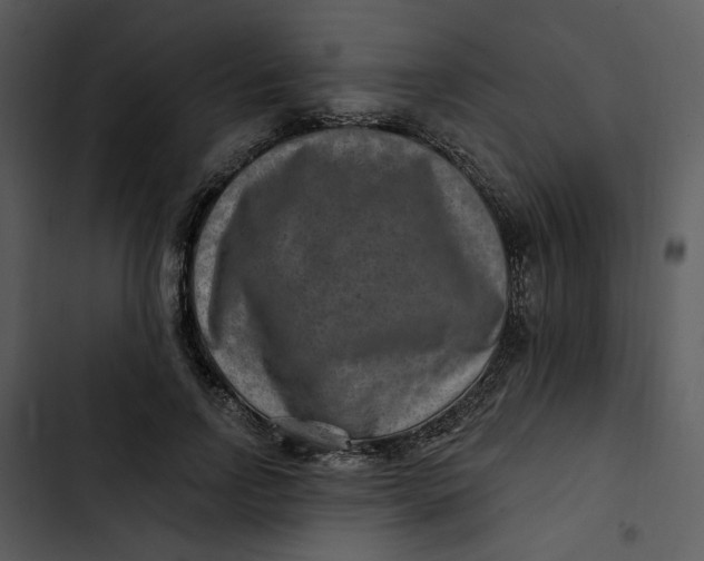 X0000102820742200809081130