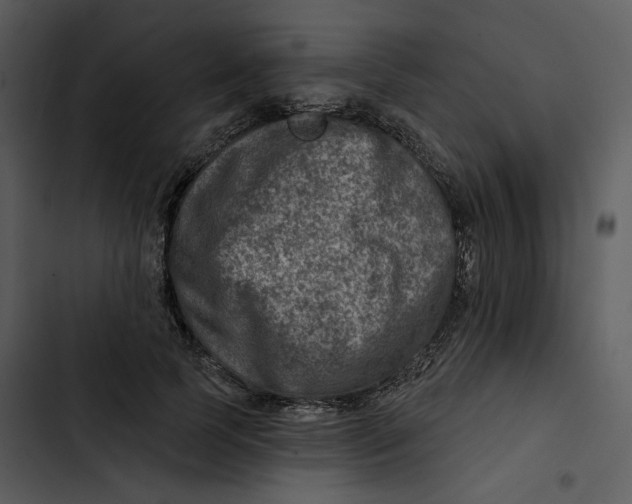 X0000102820745200809081130