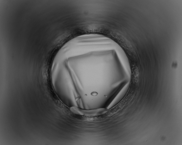 X0000102820746200809081130