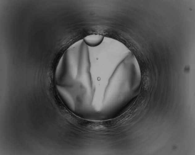 X0000102820747200809081130