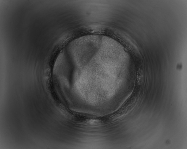 X0000102820748200809081130