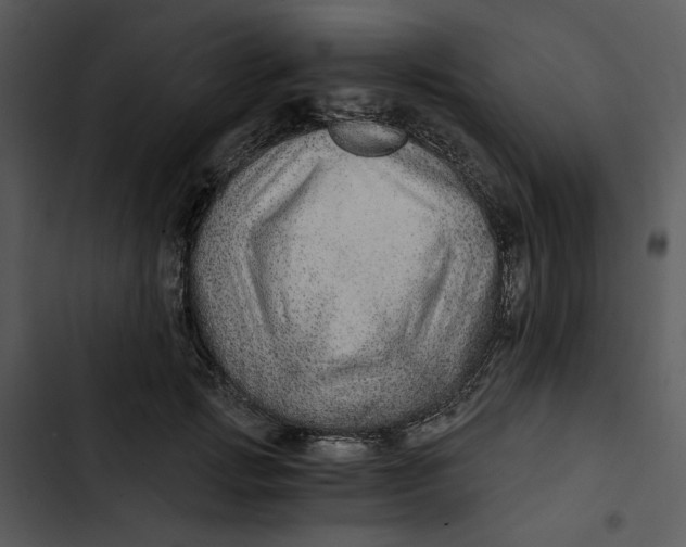 X0000102820749200809081130