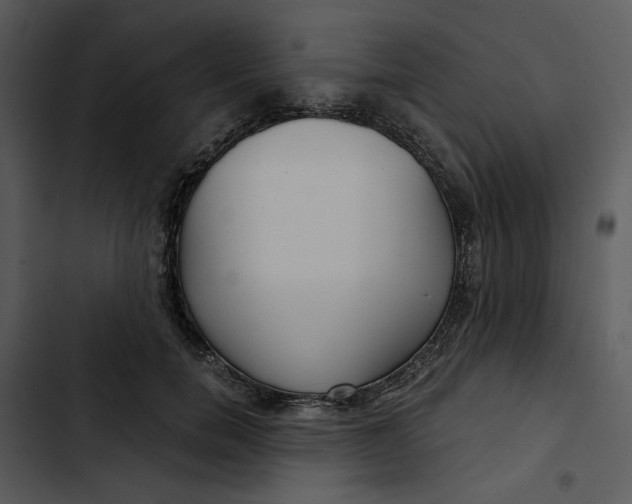 X0000102820750200809081130