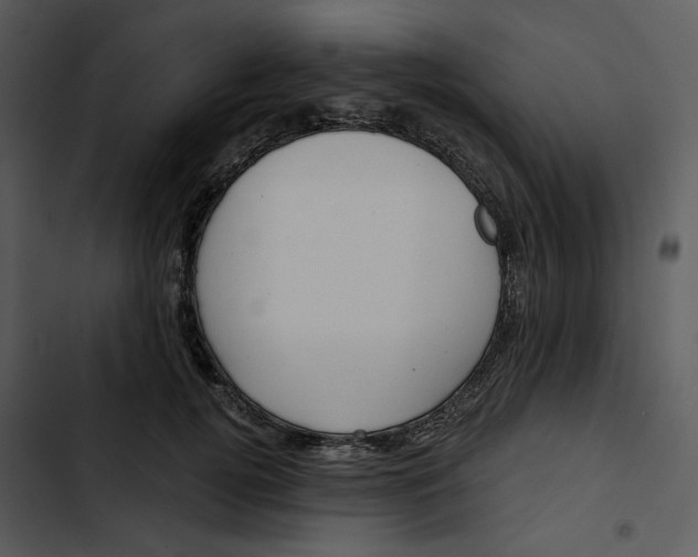 X0000102820752200809081130