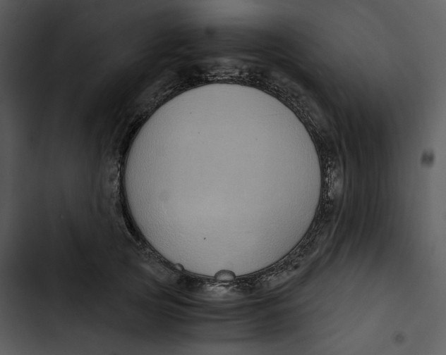 X0000102820753200809081130