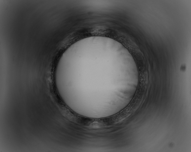 X0000102820755200809081130