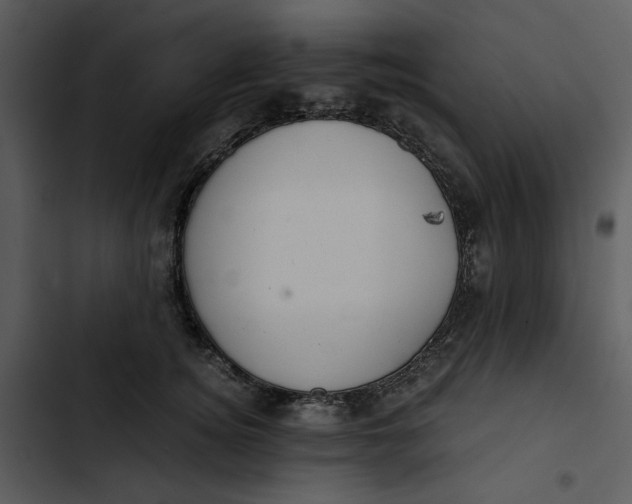 X0000102820756200809081130