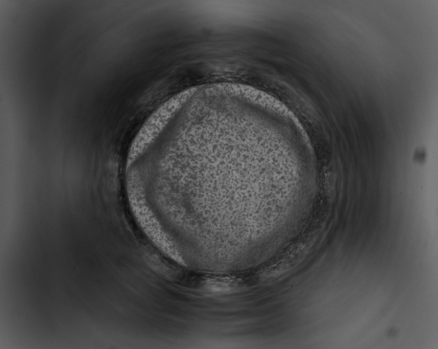 X0000102820757200809081130