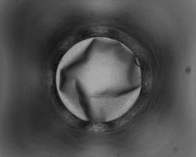 X0000102820758200809081130