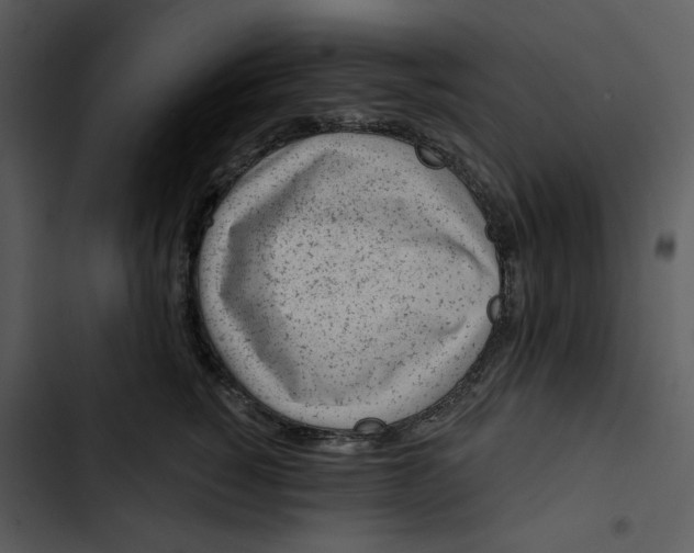 X0000102820760200809081130