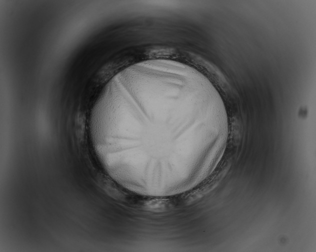 X0000102820761200809081130