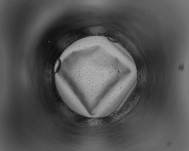 X0000102820762200809081130