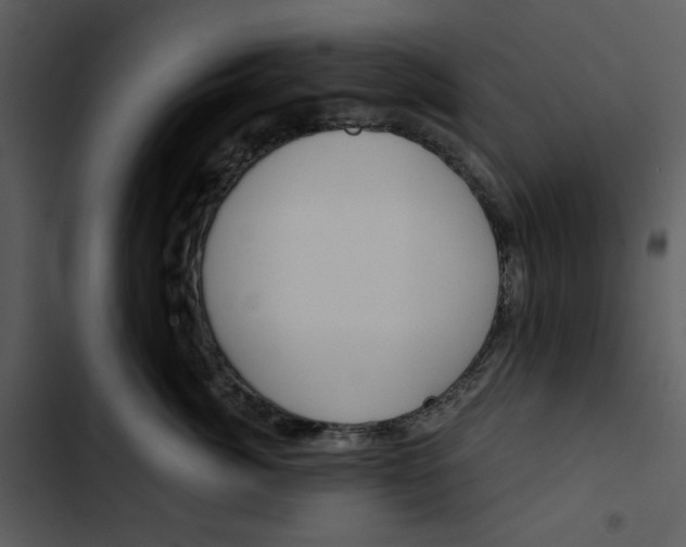 X0000102820764200809081130