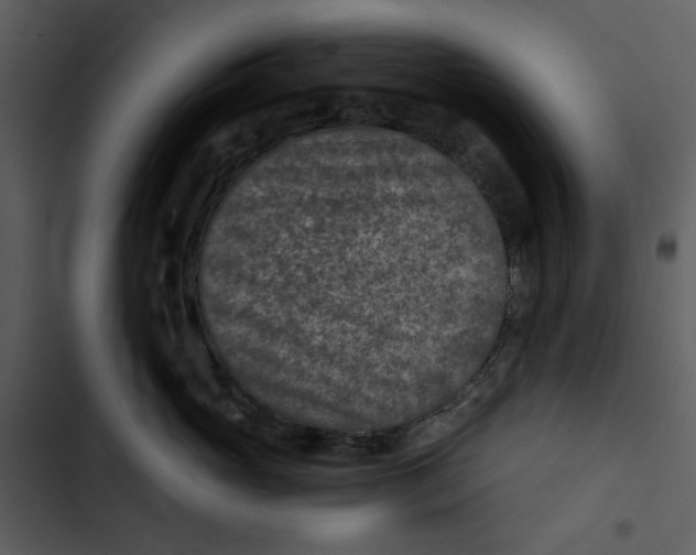 X0000102820765200809081131