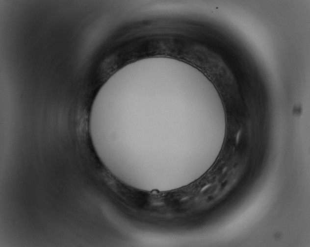 X0000102820766200809081131