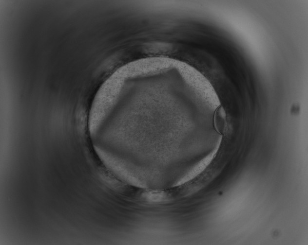 X0000102820767200809081131