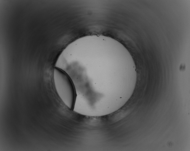 X0000102820768200809081131