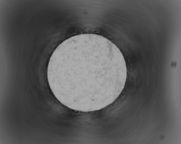 X0000102820769200809081130