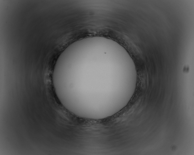 X0000102820770200809081130