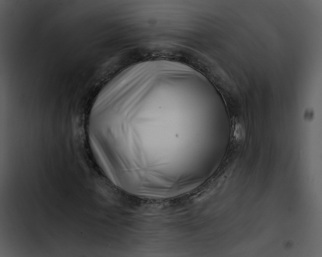 X0000102820771200809081130