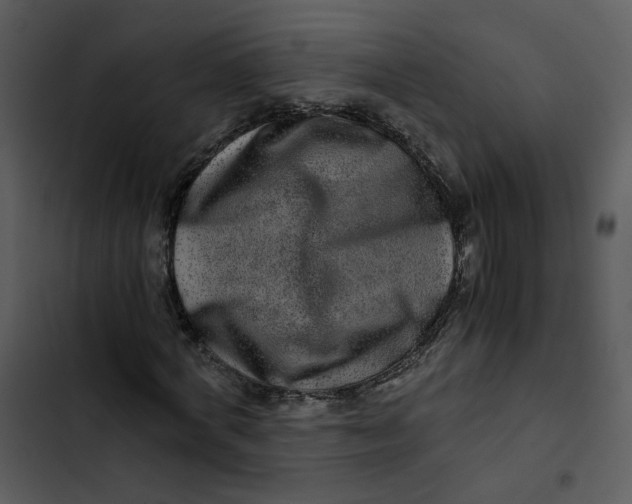 X0000102820772200809081130