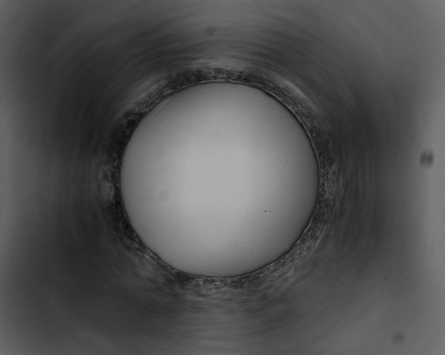 X0000102820774200809081130