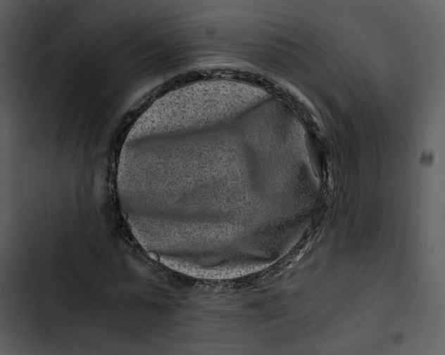 X0000102820775200809081130