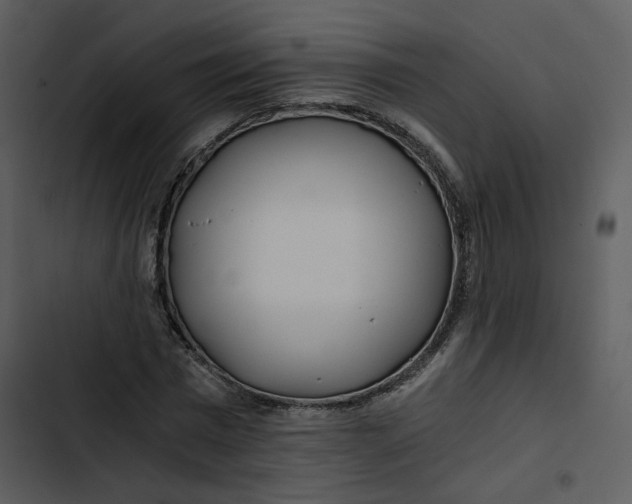 X0000102820777200809081130