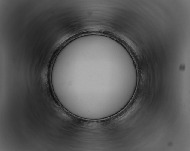 X0000102820778200809081130